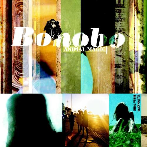 Bonobo Animal Magic (2LP) 